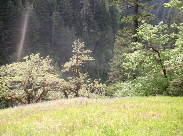 5.5.06 Eagle Creek 113 